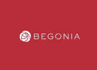 Begonia computer services llc