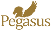Pegasus books