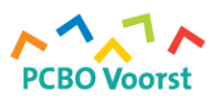 Stichting pcbo voorst