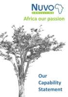 Nuvo consulting