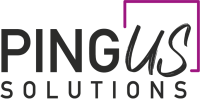 Pingus solutions gmbh & co. kg