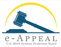 Mspb watch llc