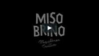 Misobrino miscelánea creativa