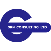 Mmz financial consulting ltd