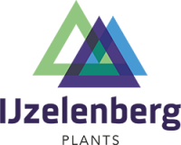 Ijzelenberg plants