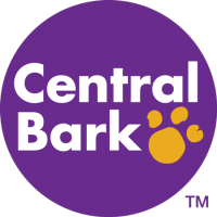 Central bark - doggie daycare in seattle