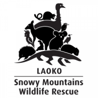 Snowy mountains animal rescue team