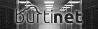 Burtinet web services