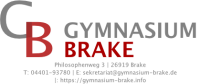 Gymnasium brake