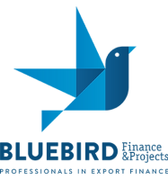 Bluebird finance and projects ltd.