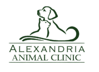 Alexandria animal hospital