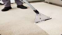 CARPET CLEANING BROOKLYN SERVICE