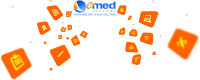 E-med services llc