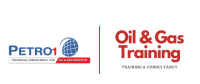 Energy1 asia (power & utilities vilt training)