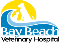 Austinmer veterinary hospital
