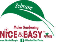 Schram plants ltd