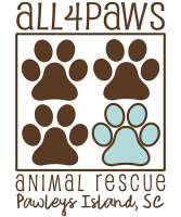 All4paws
