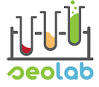 THE SEO LAB MAURITIUS