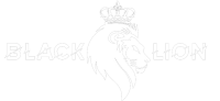 Black lion real estate group inc.