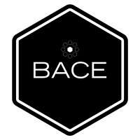 Black alliance of colleges and employers (bace)
