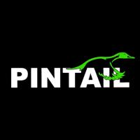 PINTAIL D&C Inc.