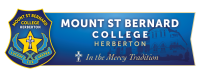 Mount st bernard college