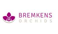 Orchideen-bremkens