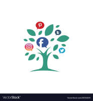Social media growth