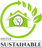 mister sustainable