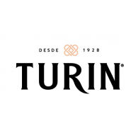 Turin networks