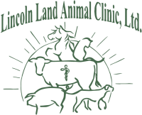 Lincoln Veterinary Clinic, LLC