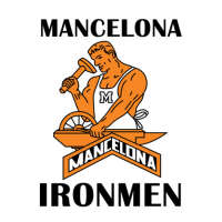 Mancelona elementary school