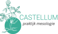 Praktijk mesologie castellum