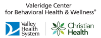 Palm Valley Behavioral Health LLC