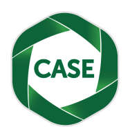 Cas enterprise projects ltd