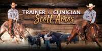 Scott amos cutting horses
