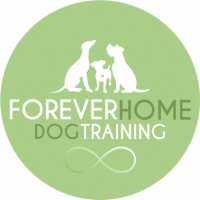 Forever dog training