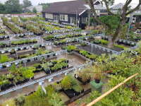 Tuincentrum verstraten-walhout b.v.