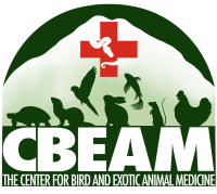 Veterinary center for birds and exotics