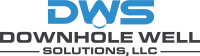 Wolf downhole solutions, llc