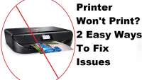 The Bison Printer - My Hp Printer Is Not Printing