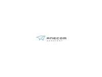 Anecom aerotest