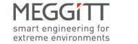 Meggitt sensing systems