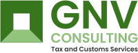 Gnv consulting
