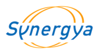 Synergya srl