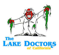 The lake doctors