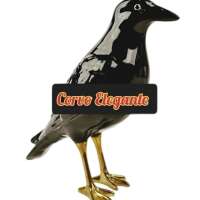 Corvo Elegant - Staffing Firm in Portugal