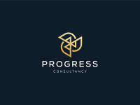 Drivesight management consultancy