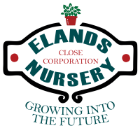 Dacol wholesale nursery