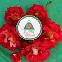 High country roses